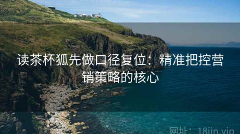 读茶杯狐先做口径复位：精准把控营销策略的核心
