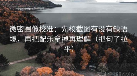 微密圈像校准：先校截图有没有缺语境，再把配乐拿掉再理解（把句子拉平）