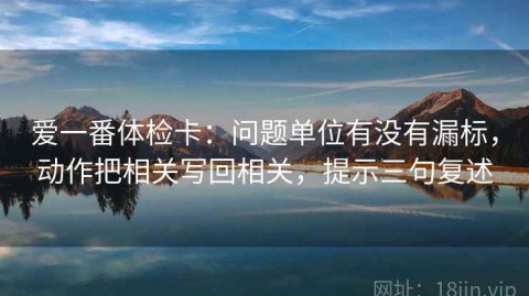 爱一番体检卡：问题单位有没有漏标，动作把相关写回相关，提示三句复述