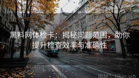 黑料网体检卡：揭秘问题范围，助你提升检查效率与准确性