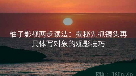柚子影视两步读法：揭秘先抓镜头再具体写对象的观影技巧