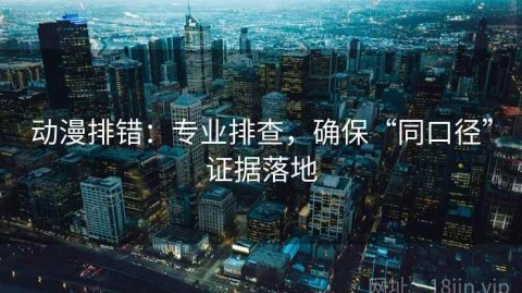 动漫排错：专业排查，确保“同口径”证据落地