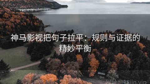 神马影视把句子拉平：规则与证据的精妙平衡