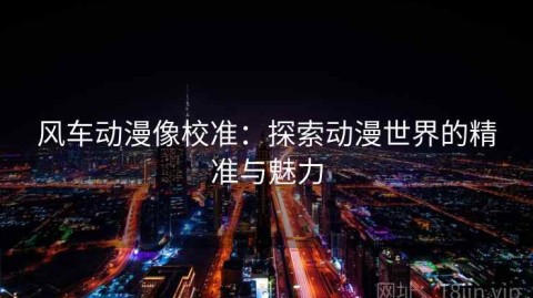 风车动漫像校准：探索动漫世界的精准与魅力