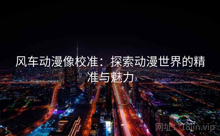 风车动漫像校准：探索动漫世界的精准与魅力