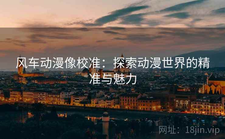 风车动漫像校准：探索动漫世界的精准与魅力