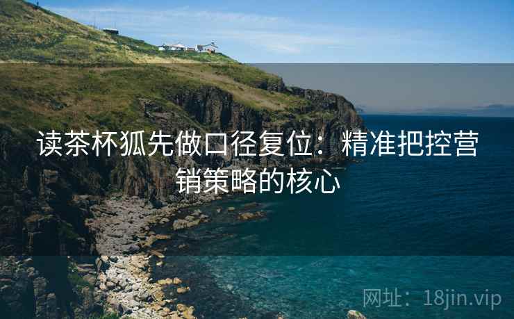 读茶杯狐先做口径复位：精准把控营销策略的核心