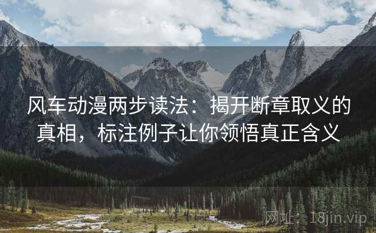 风车动漫两步读法：揭开断章取义的真相，标注例子让你领悟真正含义